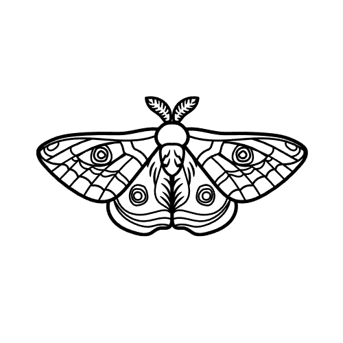 Liam's Call AI logo